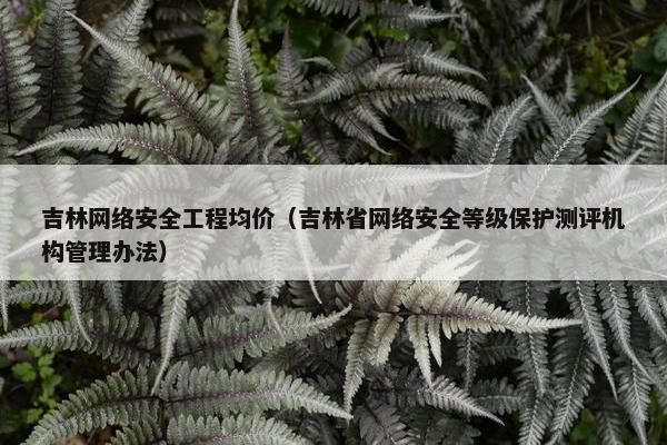 吉林网络安全工程均价（吉林省网络安全等级保护测评机构管理办法）