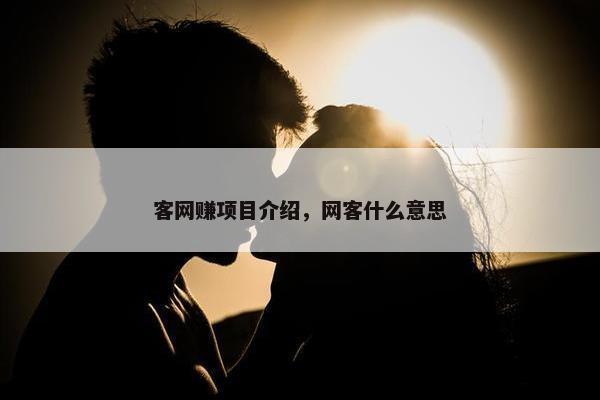 客网赚项目介绍，网客什么意思