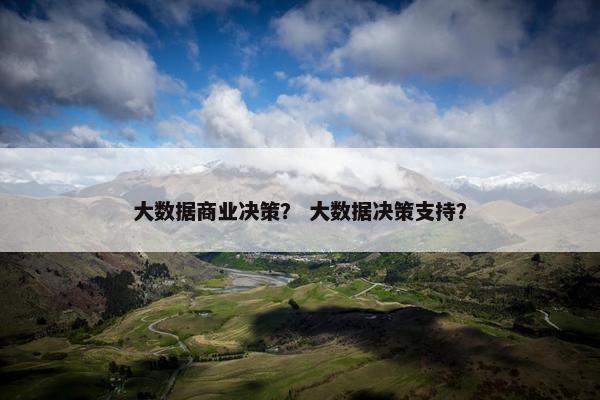 大数据商业决策? 大数据决策支持? 大数据商业决策? 大数据决策支持?