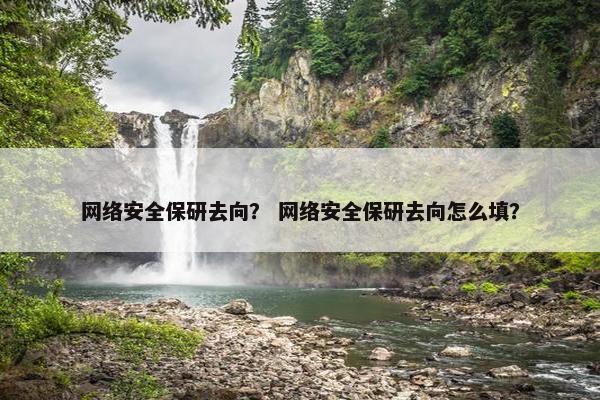 网络安全保研去向？ 网络安全保研去向怎么填？