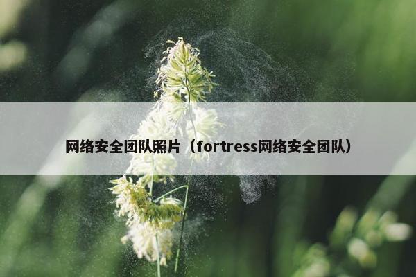 网络安全团队照片（fortress网络安全团队）