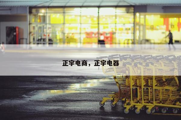 正宇电商，正宇电器