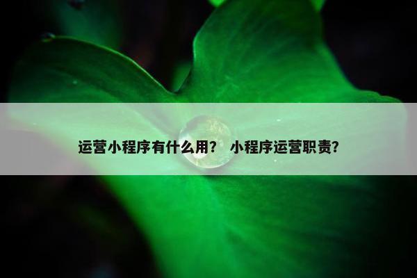 运营小程序有什么用? 小程序运营职责? 运营小程序有什么用? 小程序运营职责?