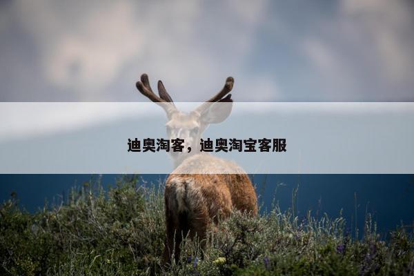 迪奥淘客，迪奥淘宝客服