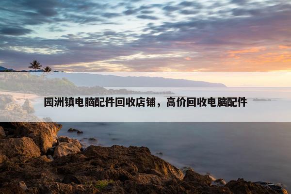 园洲镇电脑配件回收店铺，高价回收电脑配件