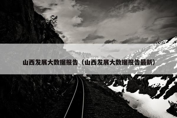 山西发展大数据报告（山西发展大数据报告最新）