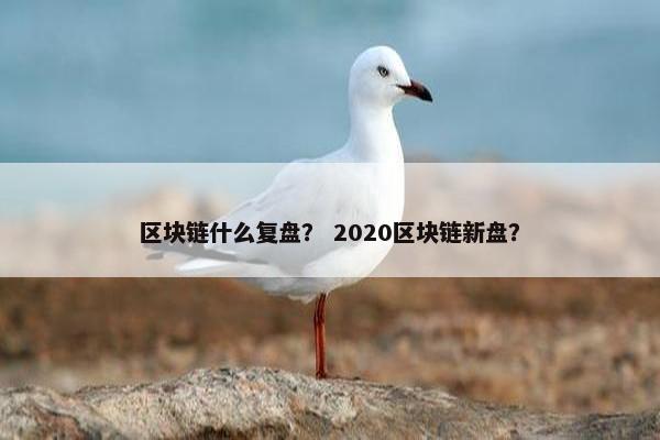 区块链什么复盘？ 2020区块链新盘？