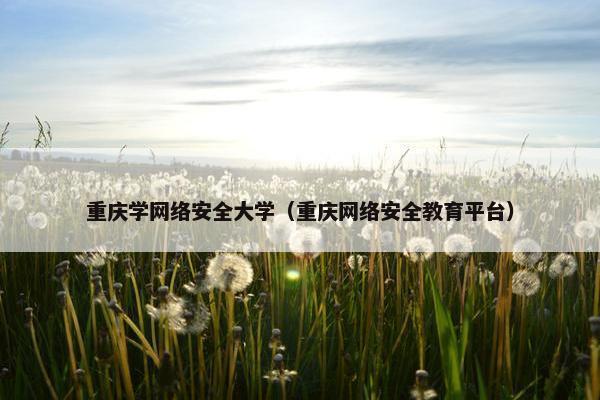 重庆学网络安全大学（重庆网络安全教育平台）
