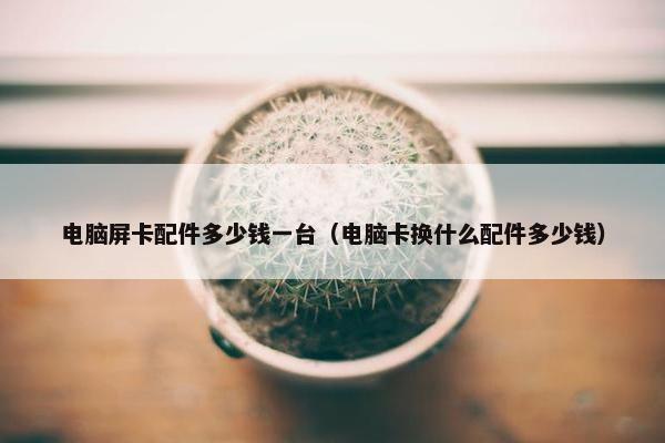 电脑屏卡配件多少钱一台（电脑卡换什么配件多少钱）