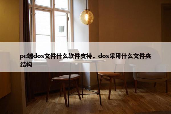 pc端dos文件什么软件支持，dos采用什么文件夹结构