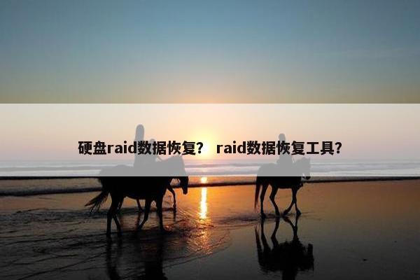 硬盘raid数据恢复？ raid数据恢复工具？