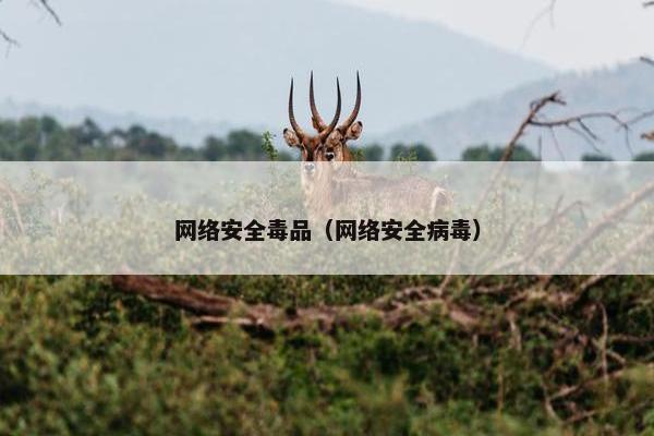 网络安全毒品（网络安全病毒）