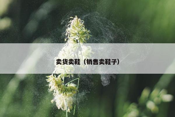 卖货卖鞋（销售卖鞋子）