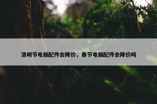 清明节电脑配件会降价，春节电脑配件会降价吗