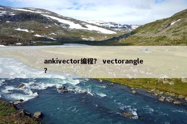 ankivector编程？ vectorangle？