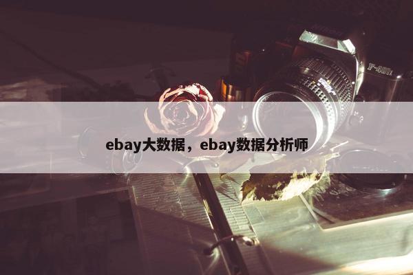 ebay大数据，ebay数据分析师