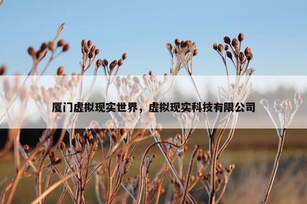 厦门虚拟现实世界,虚拟现实科技有限公司 厦门虚拟现实世界,虚拟现实科技有限公司