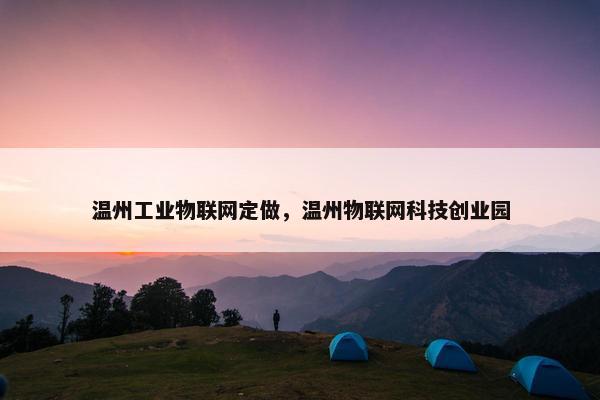 温州工业物联网定做，温州物联网科技创业园