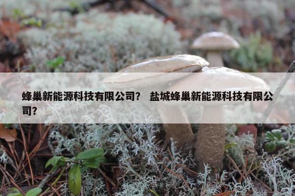 蜂巢新能源科技有限公司？ 盐城蜂巢新能源科技有限公司？