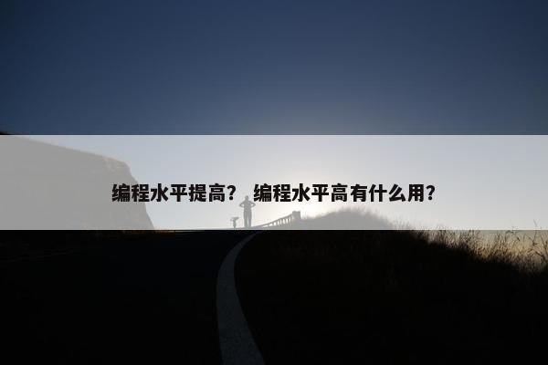 编程水平提高？ 编程水平高有什么用？