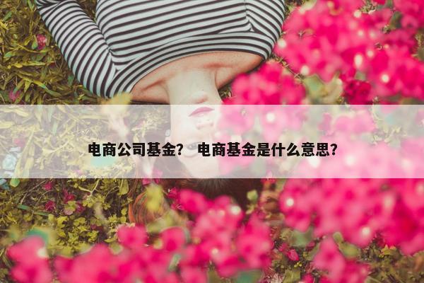 电商公司基金？ 电商基金是什么意思？