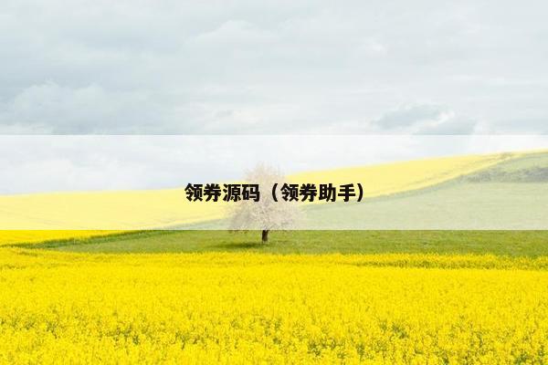 领券源码(领券助手) 领券源码(领券助手)