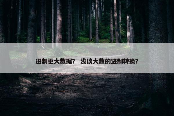 进制更大数据? 浅谈大数的进制转换? 进制更大数据? 浅谈大数的进制转换?