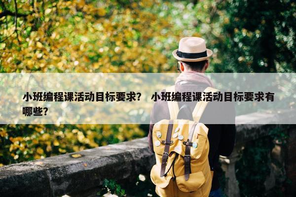 小班编程课活动目标要求？ 小班编程课活动目标要求有哪些？