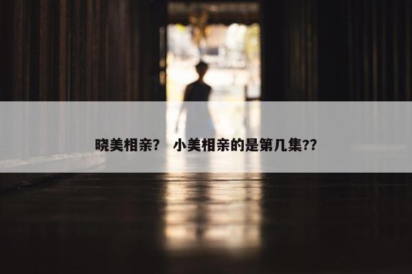 晓美相亲? 小美相亲的是第几集?? 晓美相亲? 小美相亲的是第几集??