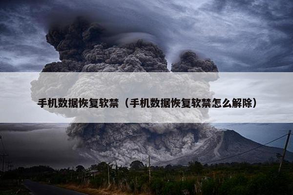 手机数据恢复软禁（手机数据恢复软禁怎么解除）