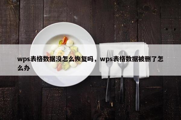 wps表格数据没怎么恢复吗,wps表格数据被删了怎么办 wps表格数据没怎么恢复吗,wps表格数据被删了怎么办