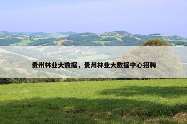 贵州林业大数据，贵州林业大数据中心招聘