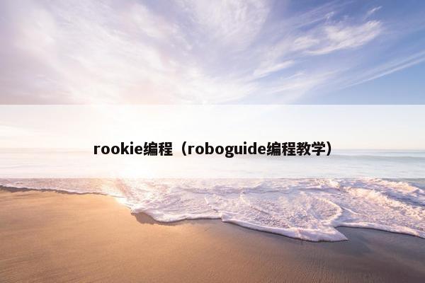 rookie编程（roboguide编程教学）