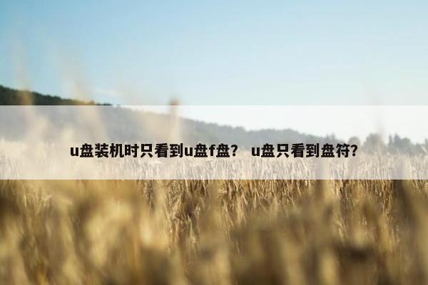 u盘装机时只看到u盘f盘? u盘只看到盘符? u盘装机时只看到u盘f盘? u盘只看到盘符?