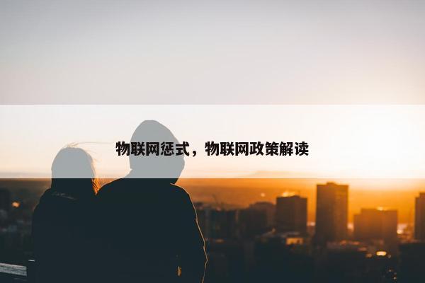物联网惩式，物联网政策解读