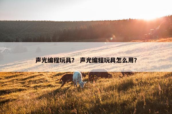 声光编程玩具？ 声光编程玩具怎么用？