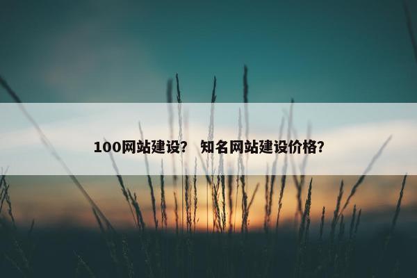 100网站建设？ 知名网站建设价格？