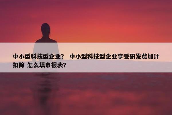 中小型科技型企业? 中小型科技型企业享受研发费加计扣除 怎么填申报表? 中小型科技型企业? 中小型科技型企业享受研发费加计扣除 怎么填申报表?