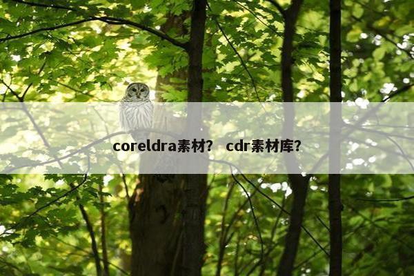 coreldra素材? cdr素材库? coreldra素材? cdr素材库?