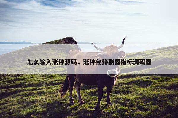 怎么输入涨停源码，涨停秘籍副图指标源码图