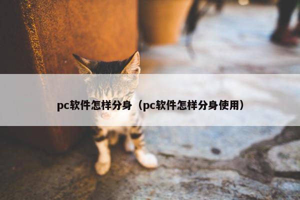 pc软件怎样分身（pc软件怎样分身使用）