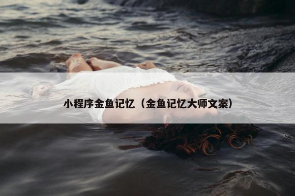 小程序金鱼记忆（金鱼记忆大师文案）