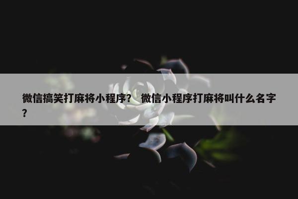 微信搞笑打麻将小程序？ 微信小程序打麻将叫什么名字？