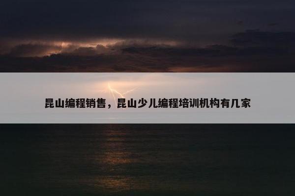 昆山编程销售，昆山少儿编程培训机构有几家