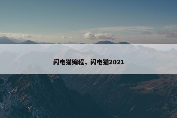 闪电猫编程，闪电猫2021