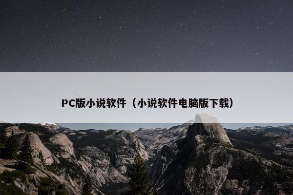 PC版小说软件（小说软件电脑版下载）