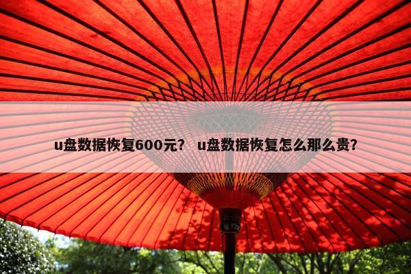u盘数据恢复600元？ u盘数据恢复怎么那么贵？