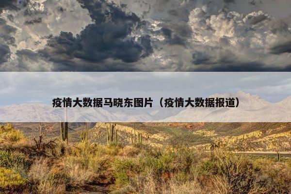 疫情大数据马晓东图片（疫情大数据报道）