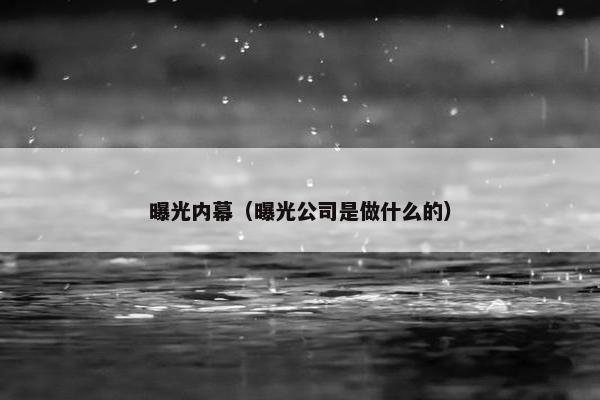 曝光内幕（曝光公司是做什么的）