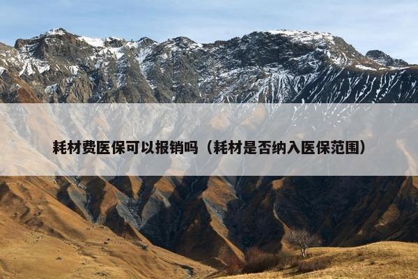 耗材费医保可以报销吗(耗材是否纳入医保范围) 耗材费医保可以报销吗(耗材是否纳入医保范围)